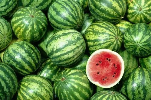 吃瓜视频真正的吃西瓜,揭秘“吃瓜视频”中的真实吃瓜体验