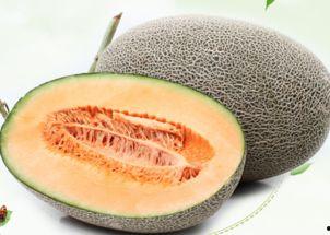 伟伟吃哈密瓜视频,甜蜜瞬间记录