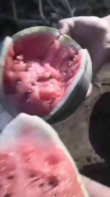 瓜蛆可以吃吗有毒吗视频,揭秘其毒性及食用风险