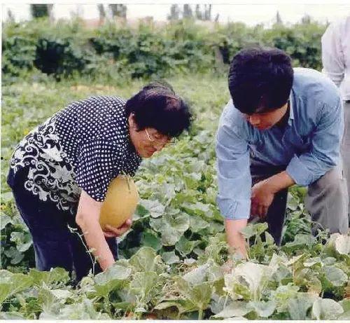 新疆的吃瓜事件视频下载,真相与误解的交织