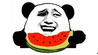 吃瓜带货搞笑视频,搞笑视频带你领略趣味购物新体验