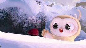 小熊吃瓜相亲视频,趣味横生甜蜜瞬间