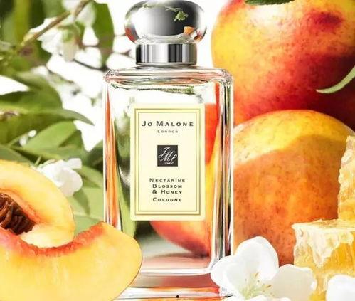 香水博主吃瓜篇视频,一场香氛界的风云际会