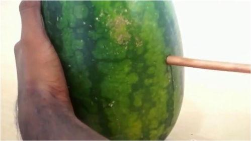 瓜没人吃吗视频