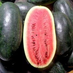 药瓜怎么吃最好吃视频,视频教你如何烹饪最佳口感