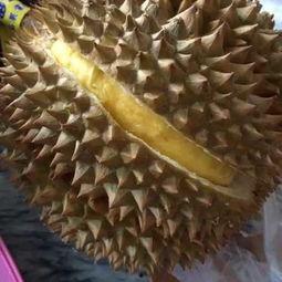 瓜哥吃瓜不吐籽视频,揭秘视频背后的趣味与真相