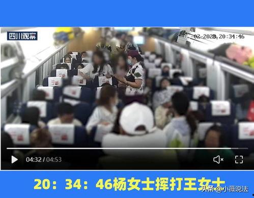 鹿城吃瓜群众事件视频,一场网络舆论的风暴与反思