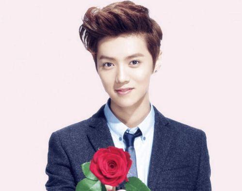 鹿晗前排吃瓜是真的吗视频,是真是假引热议