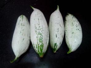 万州吃瓜视频最新消息曝光,最新爆料揭示惊人内幕